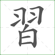 習的笔顺