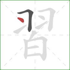 習的笔顺第2画：点