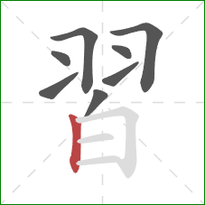 習的笔顺第8画：竖