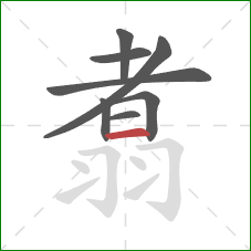 翥的笔顺第8画：横