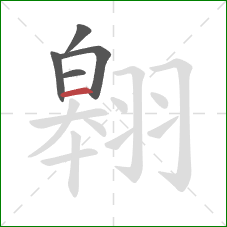 翱的笔顺第5画：横