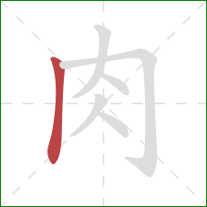 肉的笔顺第1画：竖