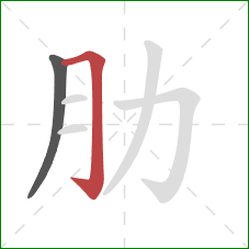 肋的笔顺第2画：横折钩