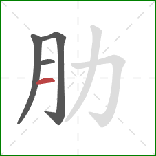 肋的笔顺第4画：横