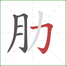 肋的笔顺第5画：横折钩