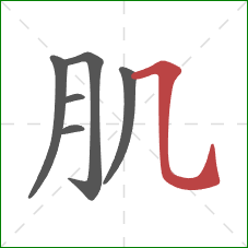 肌的笔顺第6画：横折弯钩