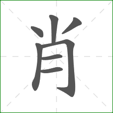 肖的笔顺 肖的笔顺
