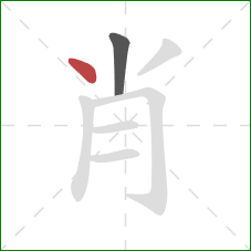 肖的笔顺第2画:点 肖的笔顺第2画:点