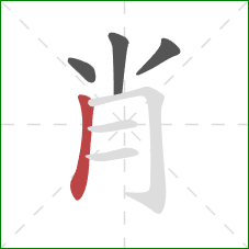 肖的笔顺第4画:竖 肖的笔顺第4画:竖