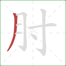 肘的笔顺第1画：撇