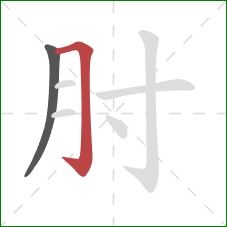 肘的笔顺第2画：横折钩