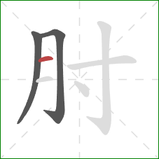 肘的笔顺第3画：横