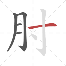 肘的笔顺第5画：横