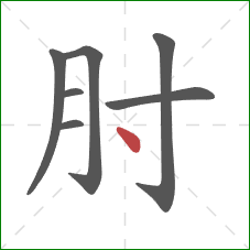 肘的笔顺第7画：点