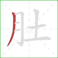 肚的笔顺第1画：撇