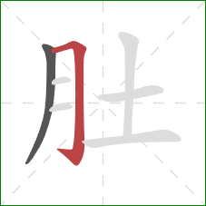 肚的笔顺第2画：横折钩