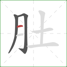 肚的笔顺第3画：横