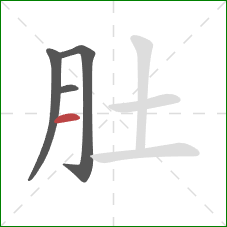 肚的笔顺第4画：横