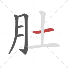 肚的笔顺第5画：横