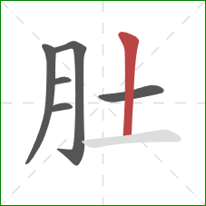 肚的笔顺第6画：竖