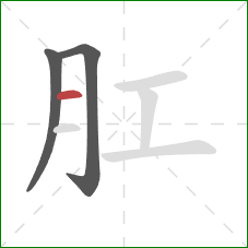 肛的笔顺第3画：横