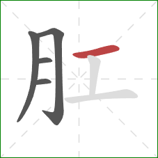 肛的笔顺第5画：横