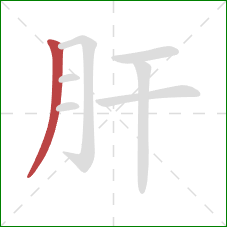 肝的笔顺第1画：撇
