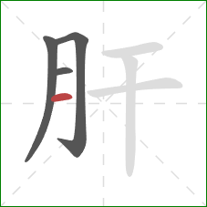 肝的笔顺第4画：横