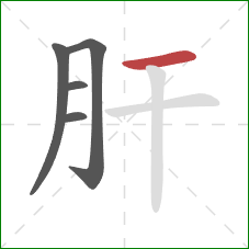 肝的笔顺第5画：横