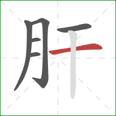 肝的笔顺第6画：横