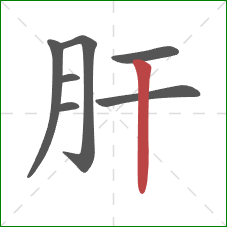 肝的笔顺第7画：竖