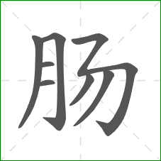 肠的笔顺