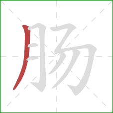 肠的笔顺第1画：撇