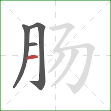 肠的笔顺第4画：横