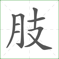 肢的笔顺