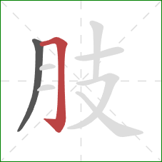 肢的笔顺第2画：横折钩