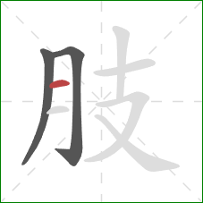 肢的笔顺第3画：横