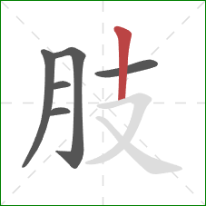 肢的笔顺第6画：竖