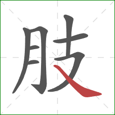 肢的笔顺第8画：捺