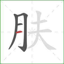 肤的笔顺第4画：横