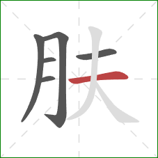 肤的笔顺第6画：横