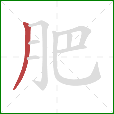 肥的笔顺第1画：撇