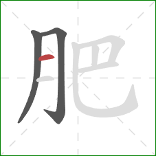 肥的笔顺第3画：横