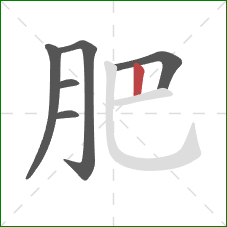 肥的笔顺第6画：竖