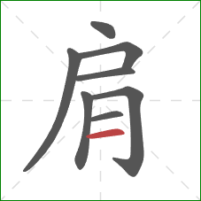 肩的笔顺第8画：横