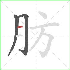 肪的笔顺第3画：横