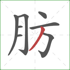 肪的笔顺第8画：撇