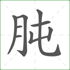 肫的笔顺