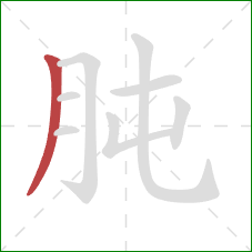 肫的笔顺第1画：撇