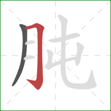 肫的笔顺第2画：横折钩